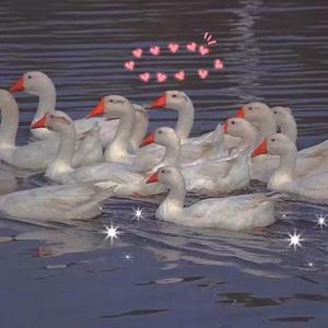 夫妻互换性爰视频
