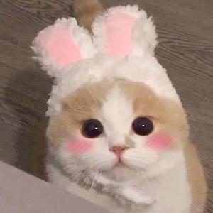 夫妻互换性爰视频
